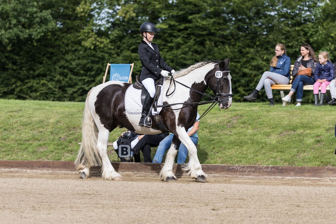 Bild 37 - Pony Akademie Turnier